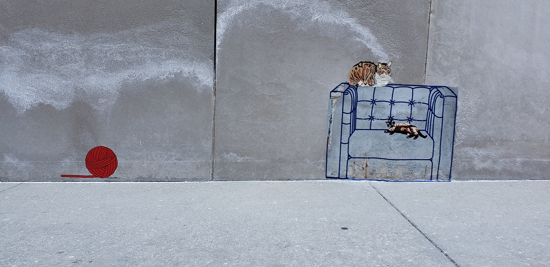 catvinyl1
