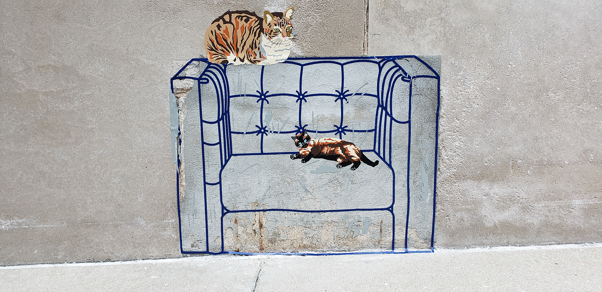 catvinyl2